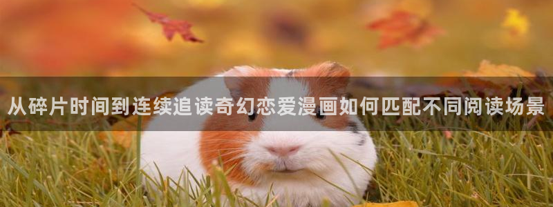 梦漫漫画连载推荐：从碎片时间到连续追读奇幻恋爱漫画如何匹配不同阅读场景