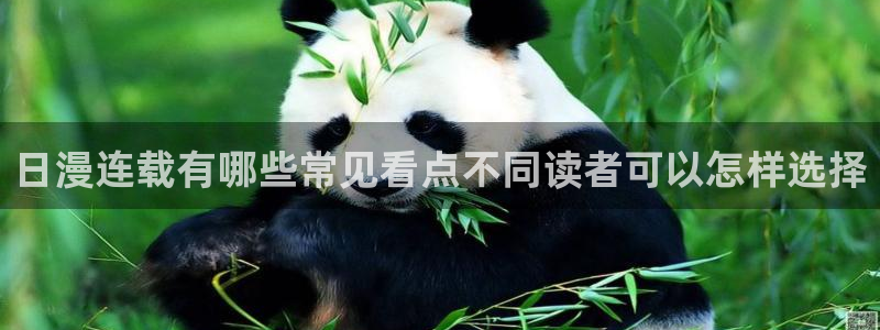 梦漫漫画完结作品：日漫连载有哪些常见看点不同读者可以怎样选择