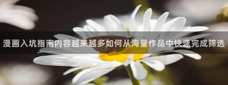 梦漫漫画最新资讯:漫画入坑指南内容越来越多如何从海量作品中快速完成筛选