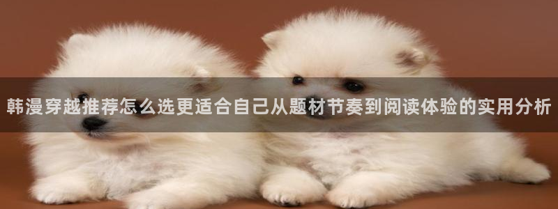 梦漫漫画热门推荐:韩漫穿越推荐怎么选更适合自己从题材节奏到阅读体验的实用分析